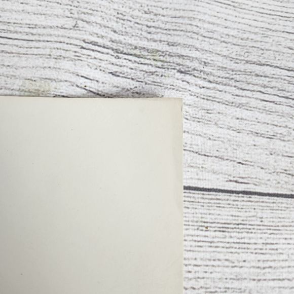 Vtg 1940s George Petty Ziegfeld Follies Pinup Girl Art Print 8.5x11 Lucille Ball - Picture 6 of 8